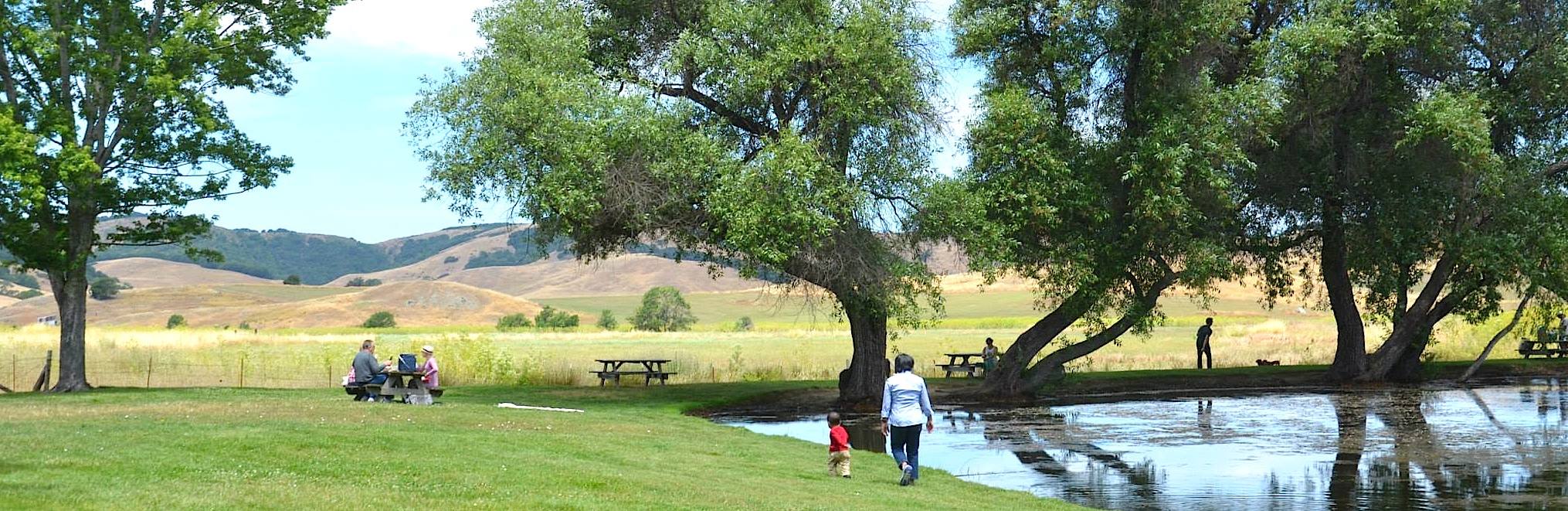 Walk by the Pond